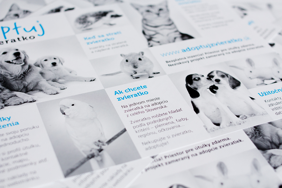 grafický dizajn - webstránky - reklamné banery - logá