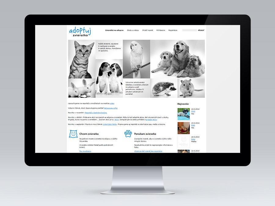 grafický dizajn - webstránky - reklamné banery - logá