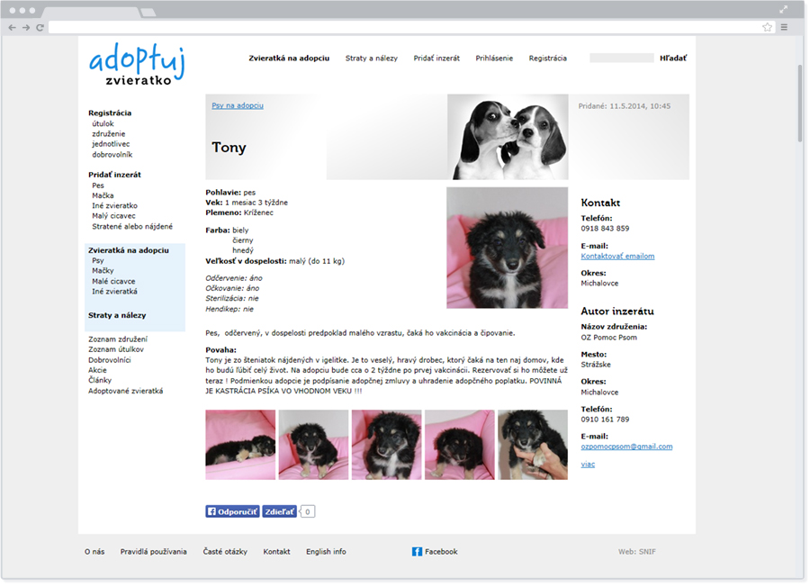 grafický dizajn - webstránky - reklamné banery - logá