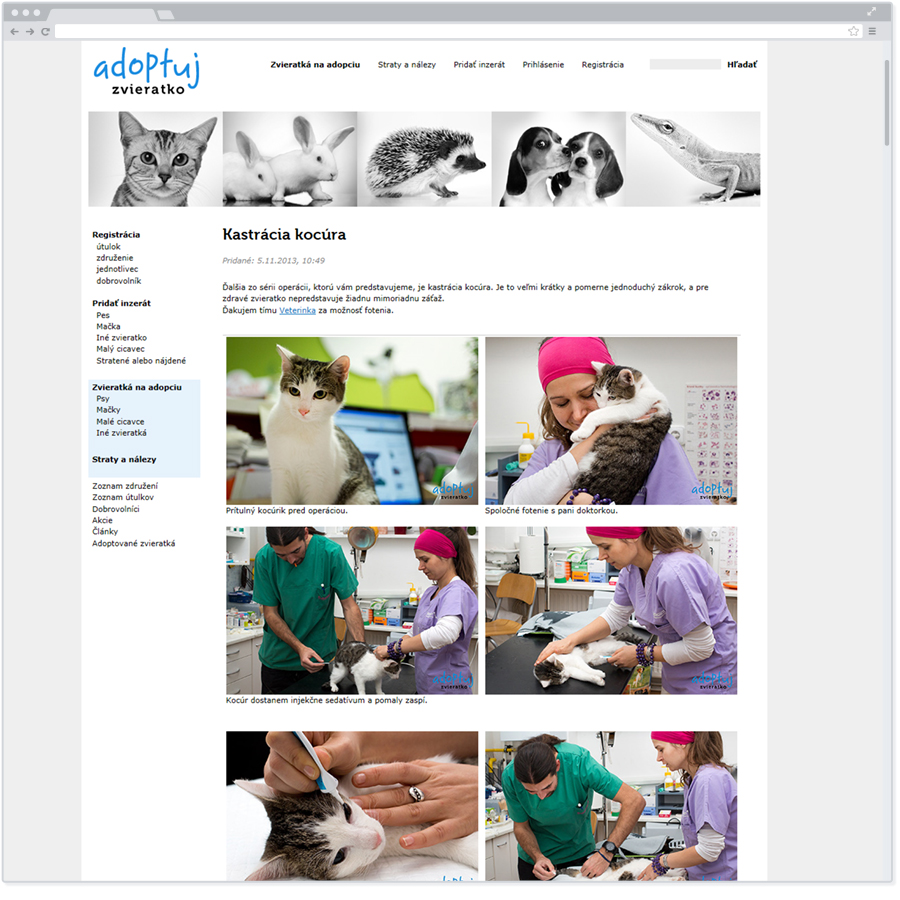 grafický dizajn - webstránky - reklamné banery - logá