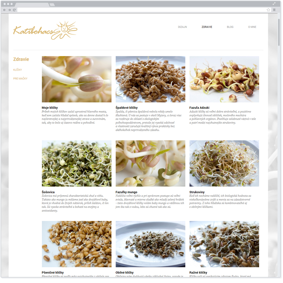 grafický dizajn - webstránky - reklamné banery - logá