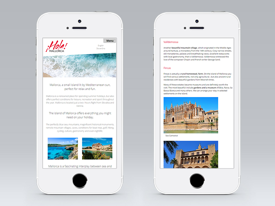 grafický dizajn - webstránky - reklamné banery - logá