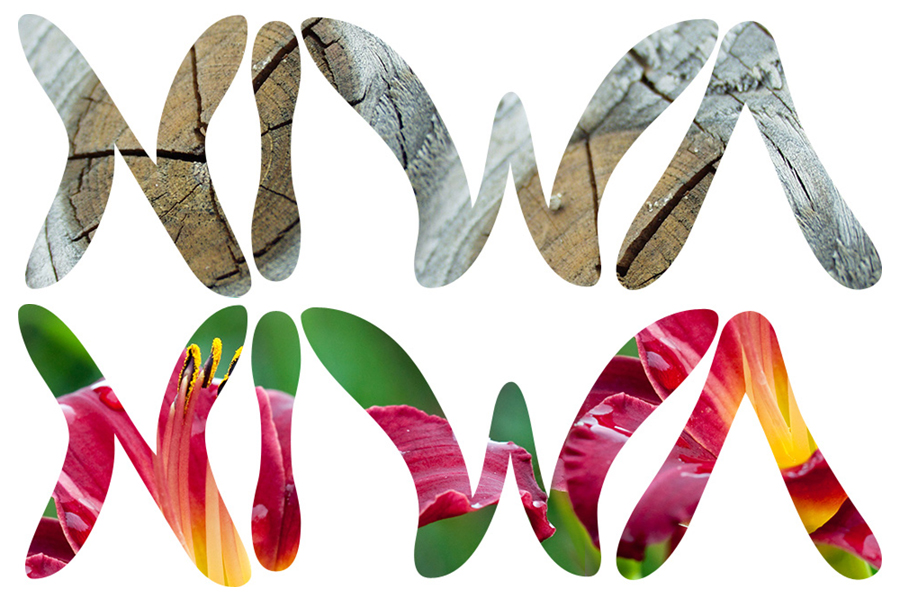 grafický dizajn - webstránky - reklamné banery - logá