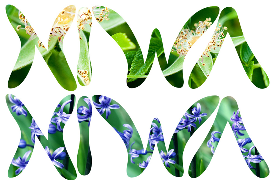 grafický dizajn - webstránky - reklamné banery - logá