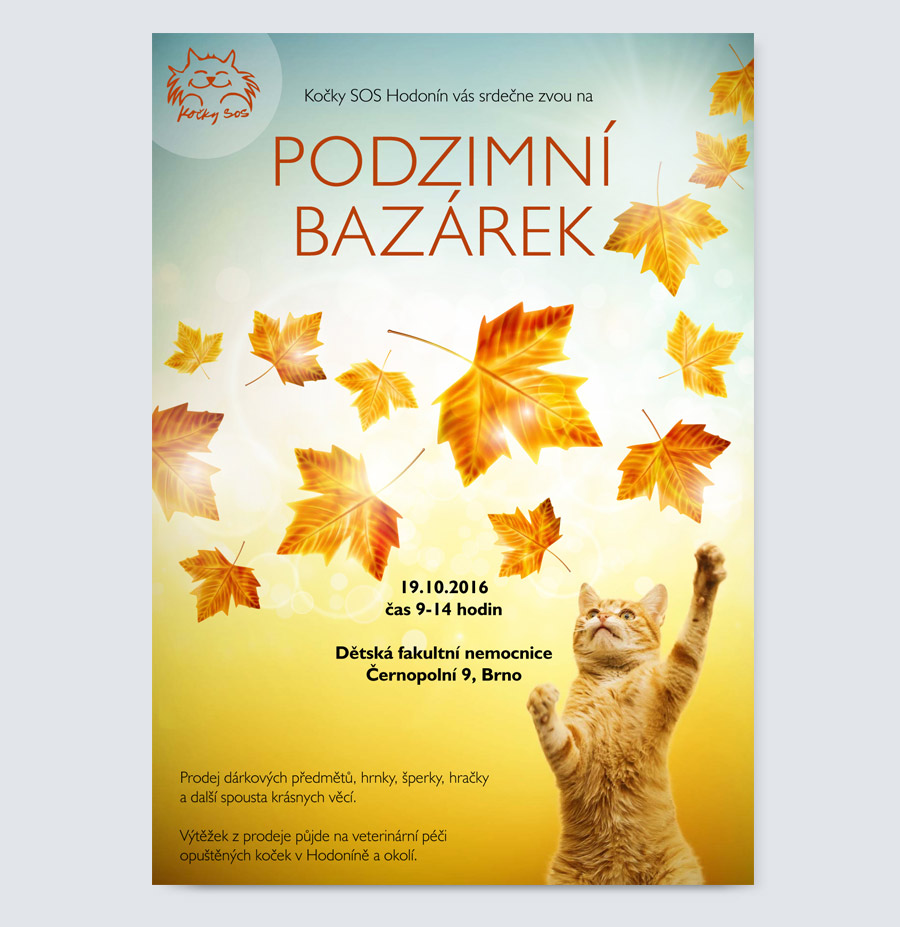 grafický dizajn - webstránky - reklamné banery - logá