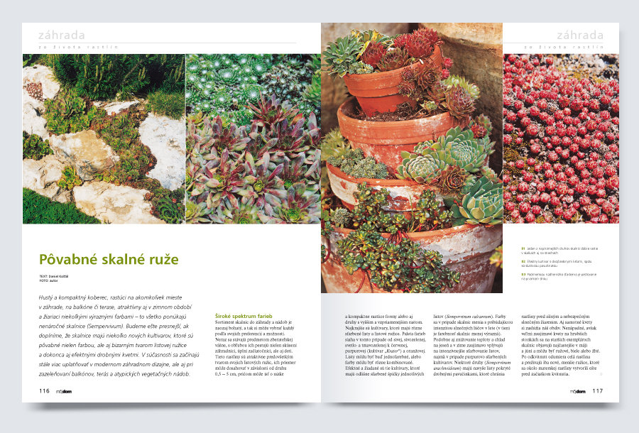 grafický dizajn - webstránky - reklamné banery - logá