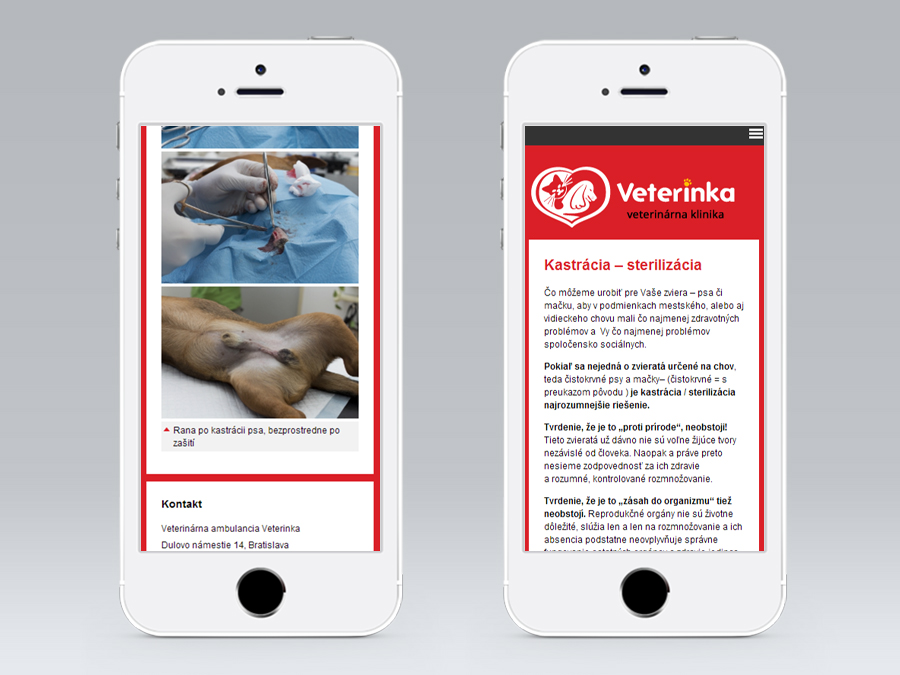 grafický dizajn - webstránky - reklamné banery - logá